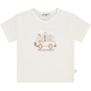 T-Shirt Safari
