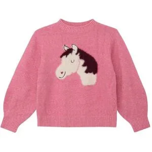 Pullover Pferd