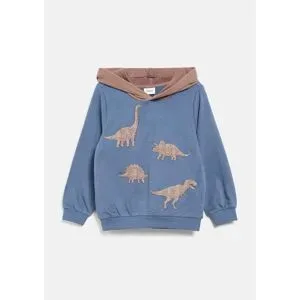 Sweatshirt mit Kapuze Dinos