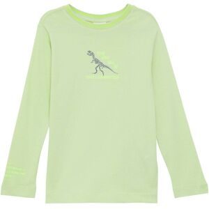 Shirt langarm Dino