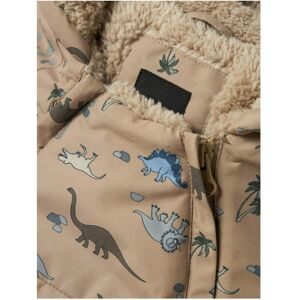 Winterjacke mit Kapuze Plüschfutter Dinos