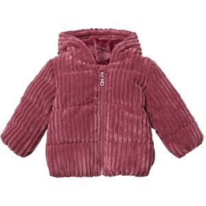 Cord-Steppjacke mit Kapuze Plüschfutter