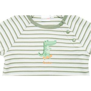 Raglanshirt langarm