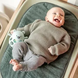 Rassel Bär