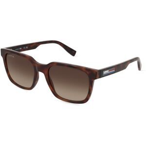 Marchon Germany GmbH Lacoste L6028S Unisex-Sonnenbrille Vollrand Quadratisch Acetat Spritzguss-Gestell, Havanna