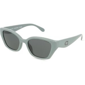 Luxottica Fashion Brillen Vertriebs GmbH Coach 0HC8434U CBY91 Damen-Sonnenbrille Vollrand Geometrisch Kunststoff-Gestell, Grau