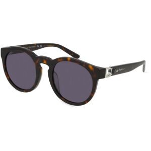 Luxottica Fashion Brillen Vertriebs GmbH Polo by Ralph Lauren RL8204QU Herren-Sonnenbrille Vollrand Panto Acetat-Gestell, Havanna