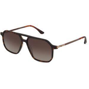 Masterdis Woodfellas 11728 Herren-Sonnenbrille Vollrand Pilot Acetat-Gestell, Havanna
