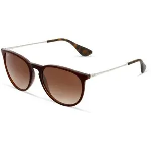 Ray-Ban Erika RB4171 631513 54