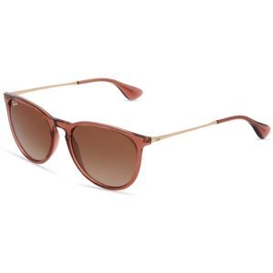 Ray-Ban Erika RB4171 659013 54