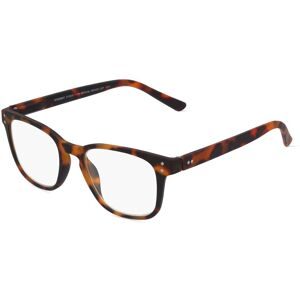 Breitfeld + Schliekert GmbH I NEED YOU STUDENT Unisex-Fertiglesebrille Vollrand Quadratisch Kunststoff-Gestell, Grau