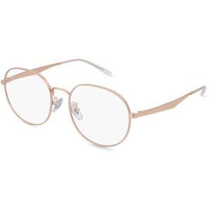 Luxottica Fashion Brillen Vertriebs GmbH Ray-Ban RX6517D Unisex-Brille inkl. Gläser Vollrand Panto Metall-Gestell 55/19/145, Gold