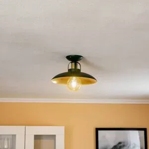 Deckenlampe Felix Eko-Light, dimmbar, grün, für Wohn- / Esszimmer, Metall, Industrielles Design, Deckenlampe