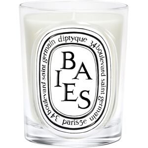 diptyque Baies Classic Candle 190 g