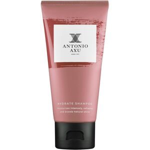 Antonio Axu Feuchtigkeitsspendendes Shampoo 60 ml