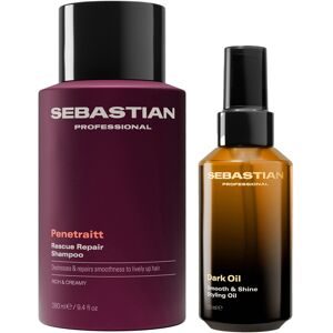 Sebastian Silky Shine Set
