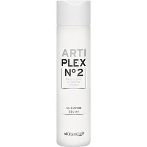 Artistique AntiPlex N°2 Shampoo 250 ml