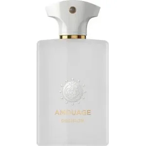 Amouage The Odyssey Collection Decision Eau de Parfum 100 ml