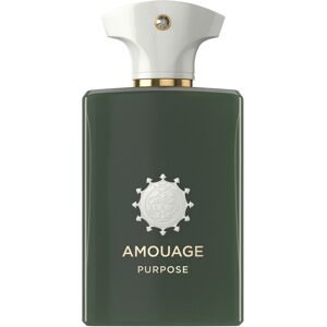 Amouage The Odyssey Collection Purpose Eau de Parfum 100 ml