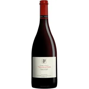Dominio de Atauta »Valdegatiles« 2018 15% Vol. Rotwein Trocken aus Spanien