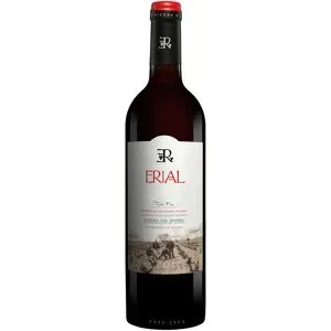 Epifanio Rivera Erial 2023 14.5% Vol. Rotwein Trocken aus Spanien