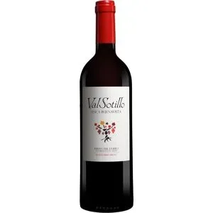 Val Sotillo - Ismael Arroyo Val Sotillo »Finca Buenavista« 2020 14.5% Vol. Rotwein Trocken aus Spanien