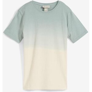 bonprix T-Shirt aus reiner Baumwolle, mit Farbverlauf, Kurzarm-Design