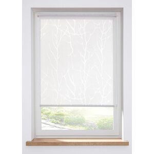 bonprix Ausbrenner Sichtschutzrolloweiß 2 (H/B: 150/50 cm)false
