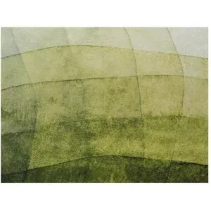 bonprix Waschbare Fußmatte mit Farbverlaufgrün 1 (38/59 cm)false