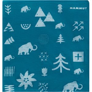 Mammut Warm and reversible neck gaiter Fleece Neck Gaiter Grün one size