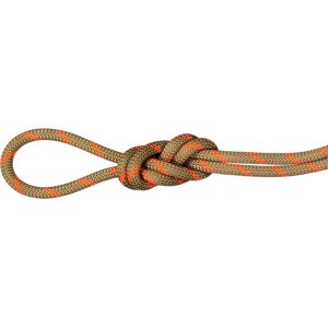 Mammut Doppelseil für Klettern und Bergsteigen 8.0 Alpine Dry Rope Grün 50 m