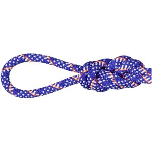 Mammut Langlebiges Kletterseil für die Halle 10.1 Gym Station Classic Rope 200m Blau 200 m