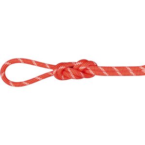 Mammut Vielseitiges Seil für Multipitch-Routen 8.0 Alpine Classic Rope 60m Orange 60 m