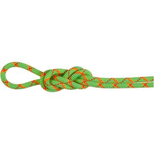 Mammut 8.0 Alpine Core Protect Dry Kletterseil