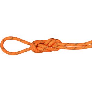 Mammut Doppelseil für Klettern und Bergsteigen 8.0 Alpine Dry Rope 60m Orange 60 m