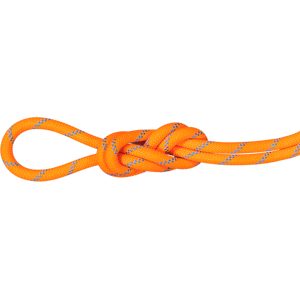 Mammut 8.7 Alpine Sender Dry Rope 70m Orange 70 m