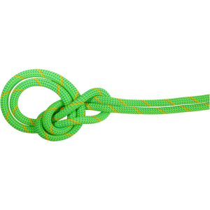 Mammut Einfachseil für Sport- und Tradklettern 9.5 Crag Dry Rope 50m Grün 50 m