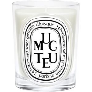 diptyque Muguet Classic Candle 190 g