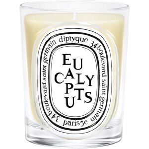 diptyque Eucalyptus Classic Candle 190 g