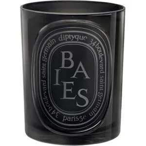 300g diptyque Black Candle Baies