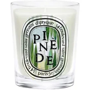 190g diptyque Pinède Classic Candle
