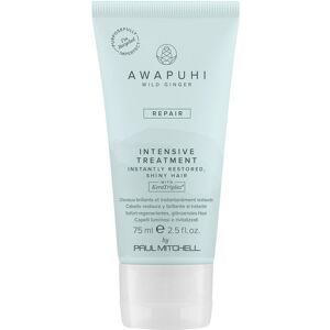 Paul Mitchell Awapuhi Wild Ginger Intensive Treatment 75 ml