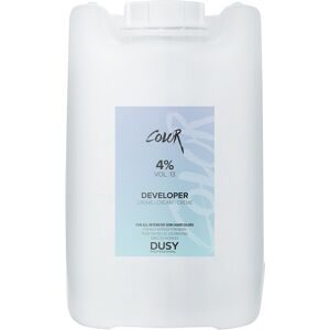 dusy professional Creme Developer 4 % - 13 Vol.