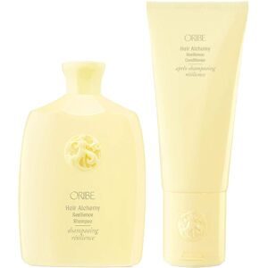 Oribe Hair Alchemy Resilience & Fortifying Duo-Set