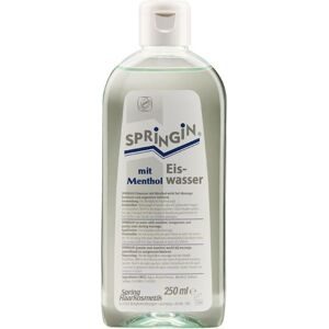 Spring Eiswasser mit Menthol 250 ml