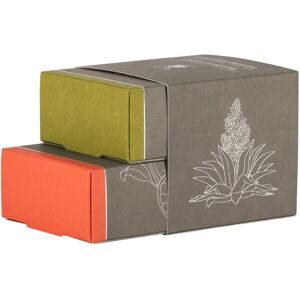 MÜHLE SHAVECARE Rasierseifenduo Aloe Vera + Grapefruit & Minze 130 g