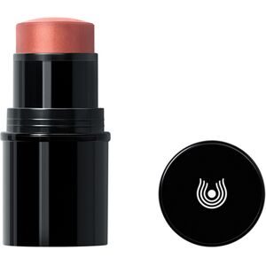 Dr. Hauschka Lip to Cheek 01 apricot 6,1 g