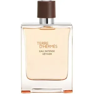 100ml HERMÈS Terre d?Hermès Eau Intense Vétiver Eau de Parfum