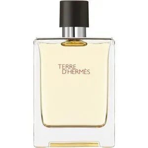 100ml HERMÈS Terre d?Hermès Eau de Toilette