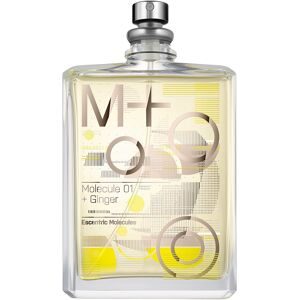 Escentric Molecules Molecule 01 + Ginger 100 ml